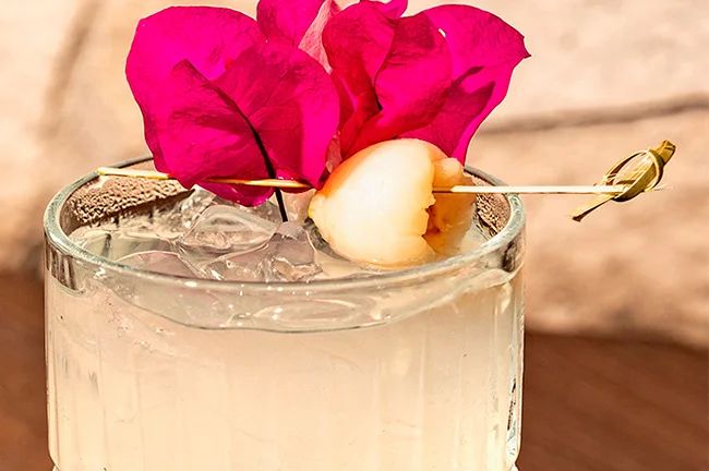 ParrotFish Restaurant Punta de Mita